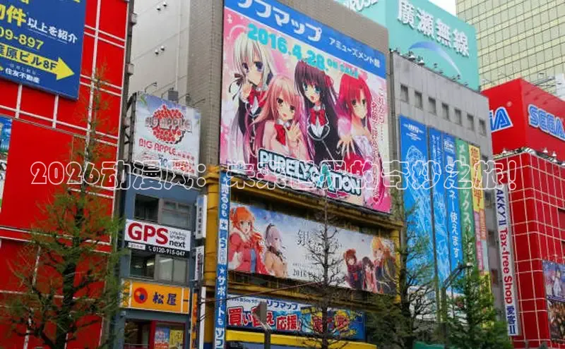 新宝gg创造奇奇迹