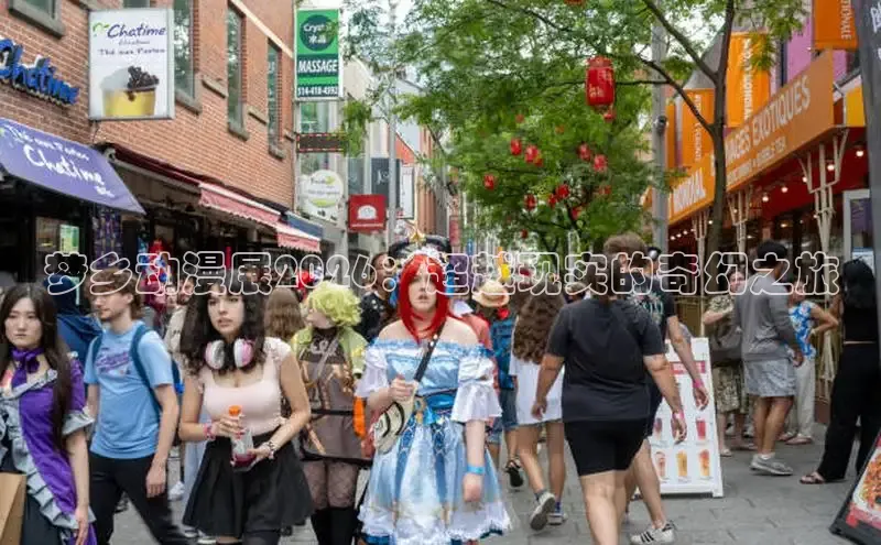新宝gg创造奇迹